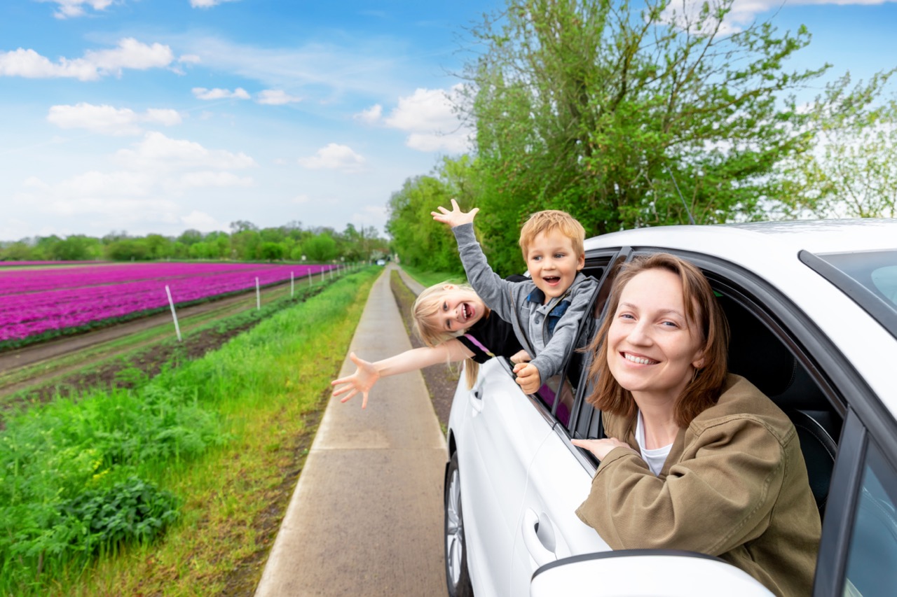 Expat car lease in the Netherlands: how to get approved