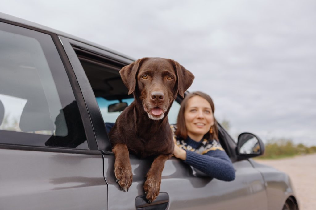 Privé lease met honden of huisdieren