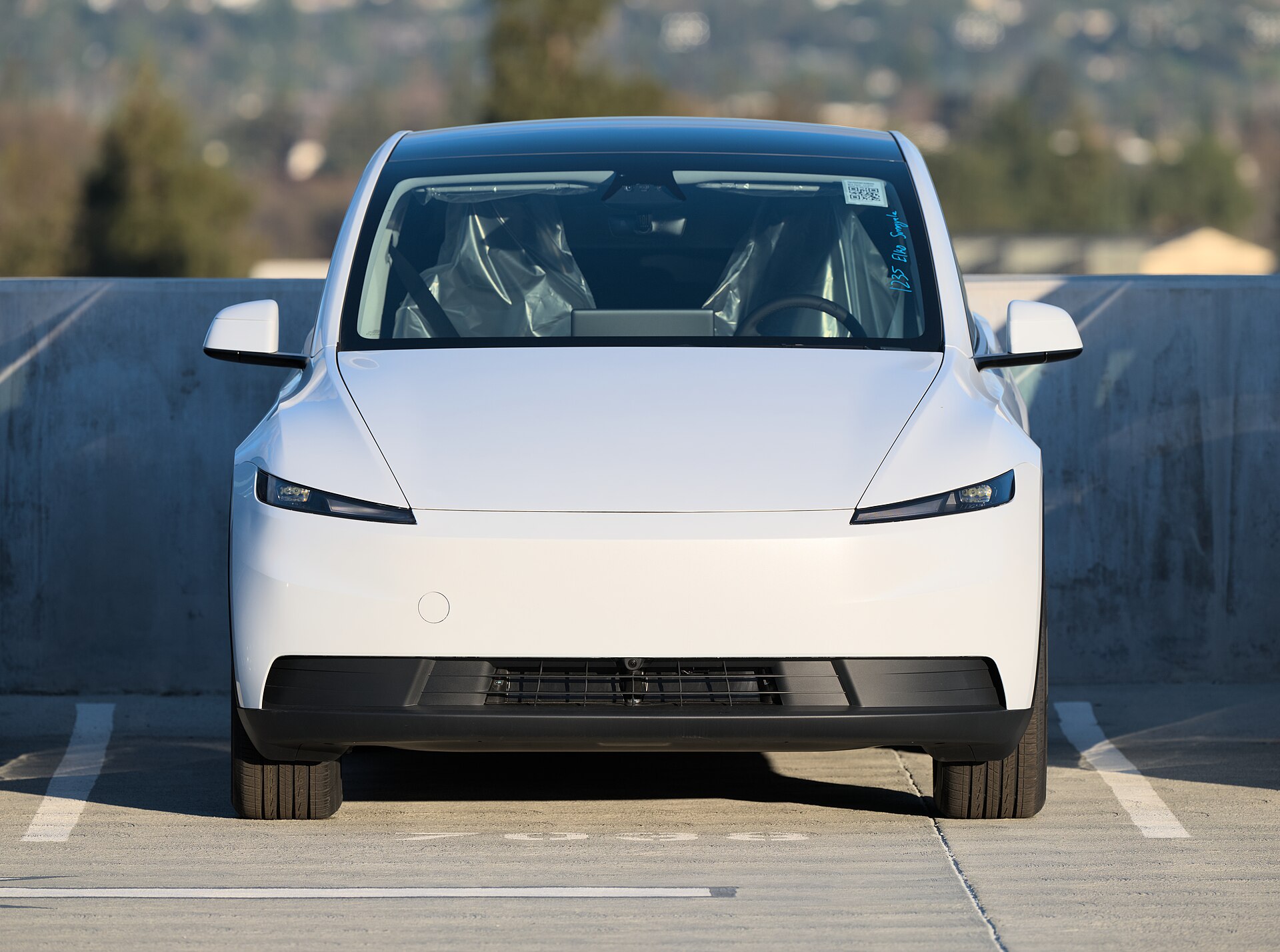 Tesla Model Y, het ruimere SUV-alternatief als tweedehands Tesla